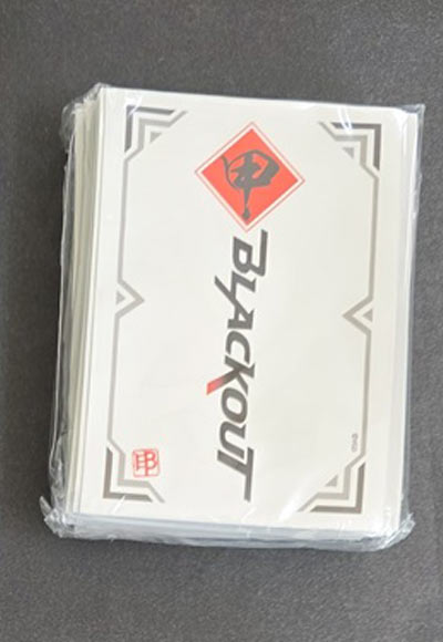 チームブラックアウトホワイトVer（外装無し）