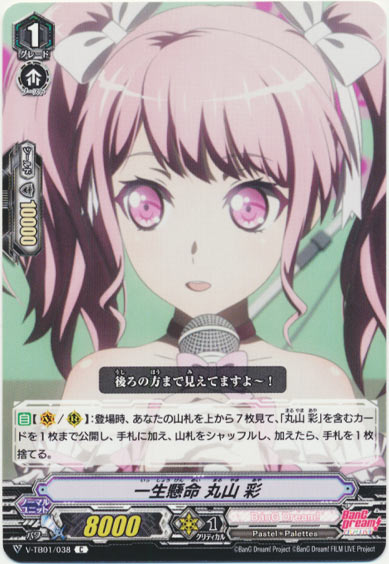 一生懸命 丸山 彩