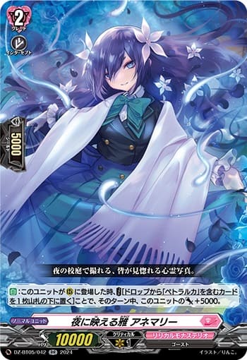 夜に映える雅 アネマリー