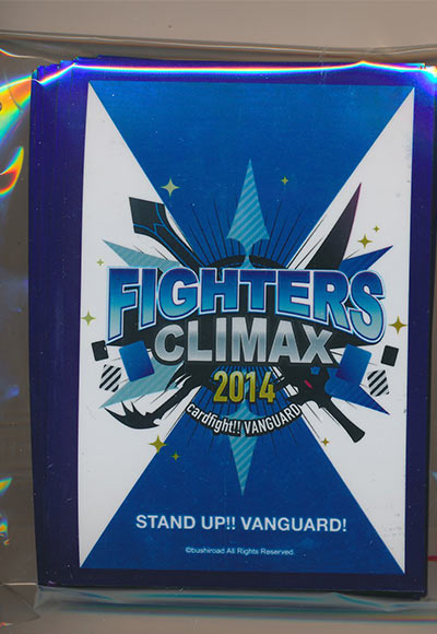 ファイターズクライマックス2014（45枚）