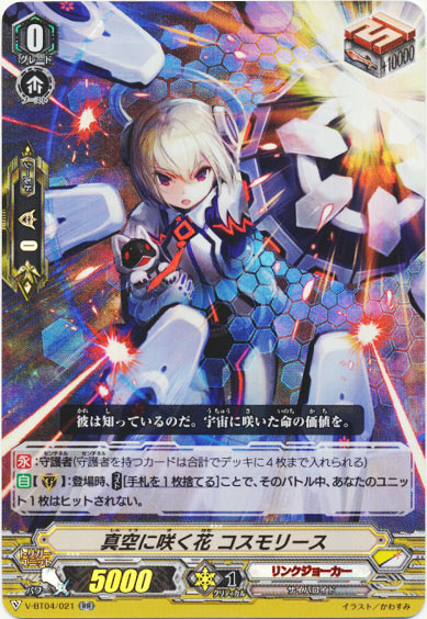 真空に咲く花 コスモリース