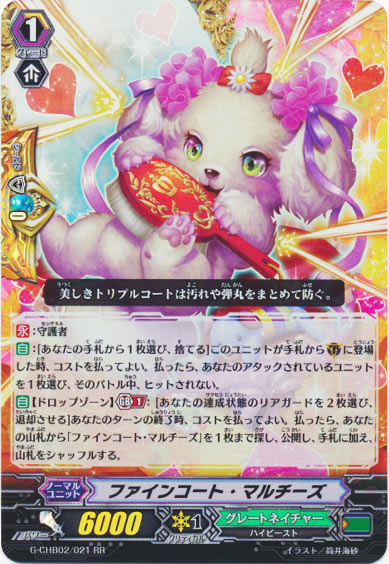 ファインコート・マルチーズ